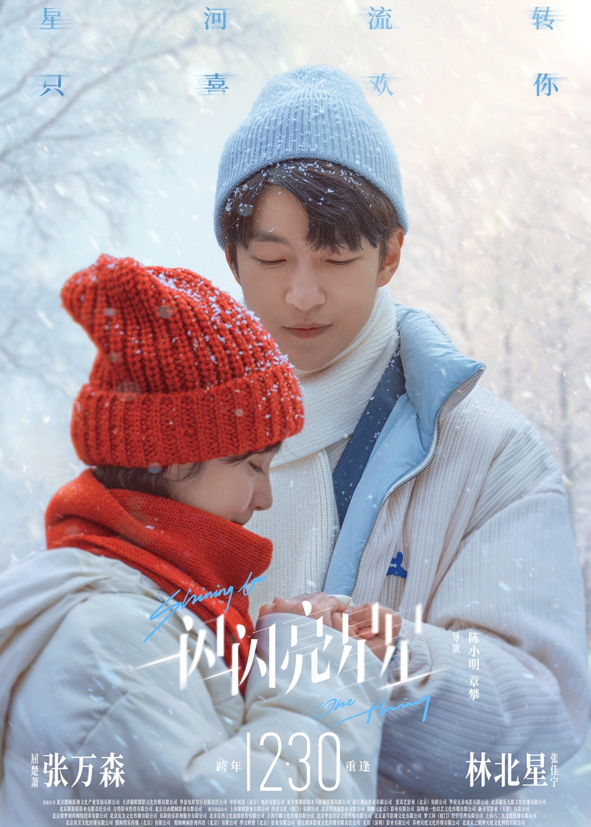 Promotional material for <em>Shinning for One Thing</em>  Photo: Courtesy of Douban