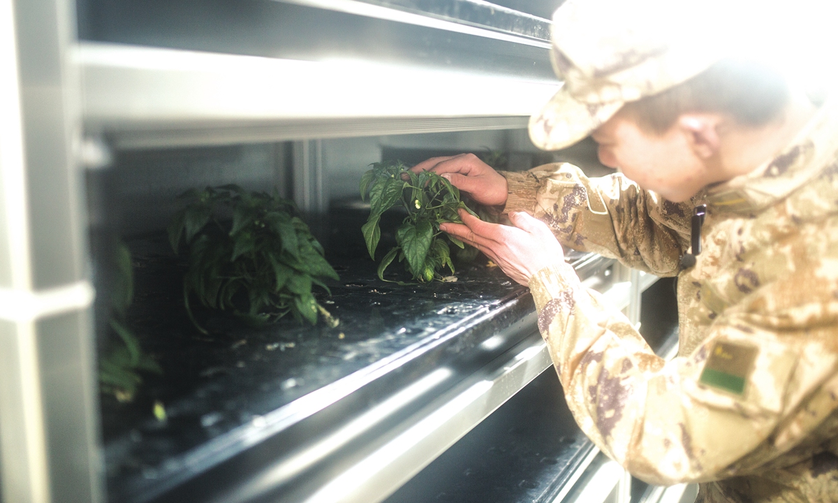 A PLA officer checks a plant in the 