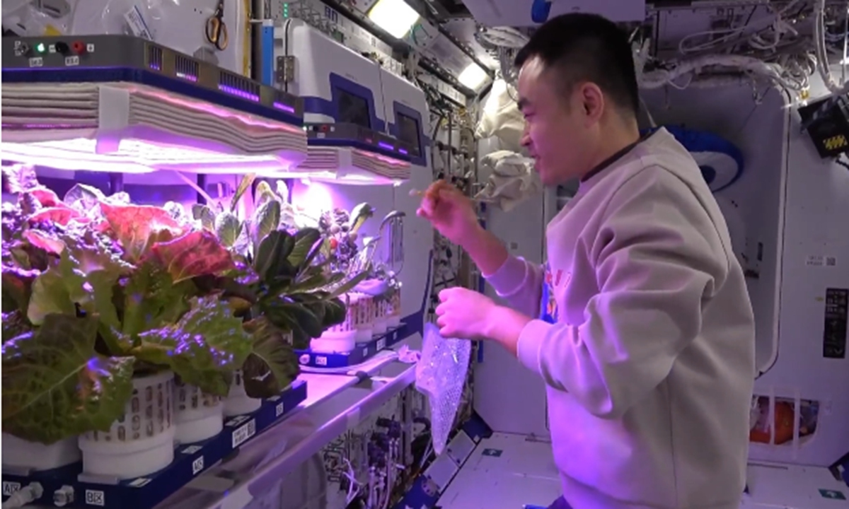 Photo: Snapshot from the China space station New Year vlog