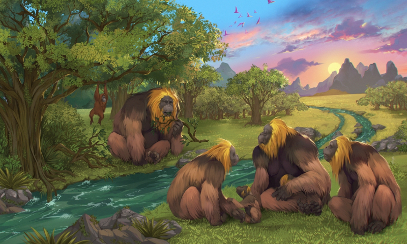 Gigantopithecus blacki (Credit to Garcia Joannes-Boyau, Southern Cross University) Photo: Courtesy of Chinese Academy of Sciences 