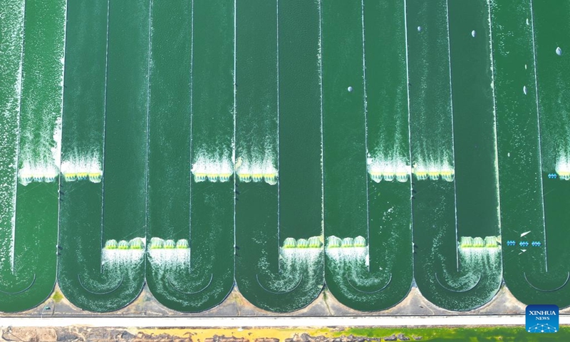 This aerial photo taken on Jan. 7, 2024 shows a microalgae breeding base in Shanxin Village of Qisha Town in Fangchenggang City, south China's Guangxi Zhuang Autonomous Region. (Xinhua/Zhou Hua)