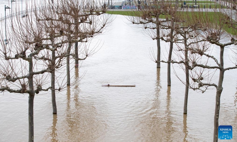 A bench along the Main River is submerged in flood water in Frankfurt, Germany, Jan. 7, 2024. Some areas in Frankfurt were flooded due to continuous rainfall and rising water level of the Main River. (Xinhua/Zhang Fan)