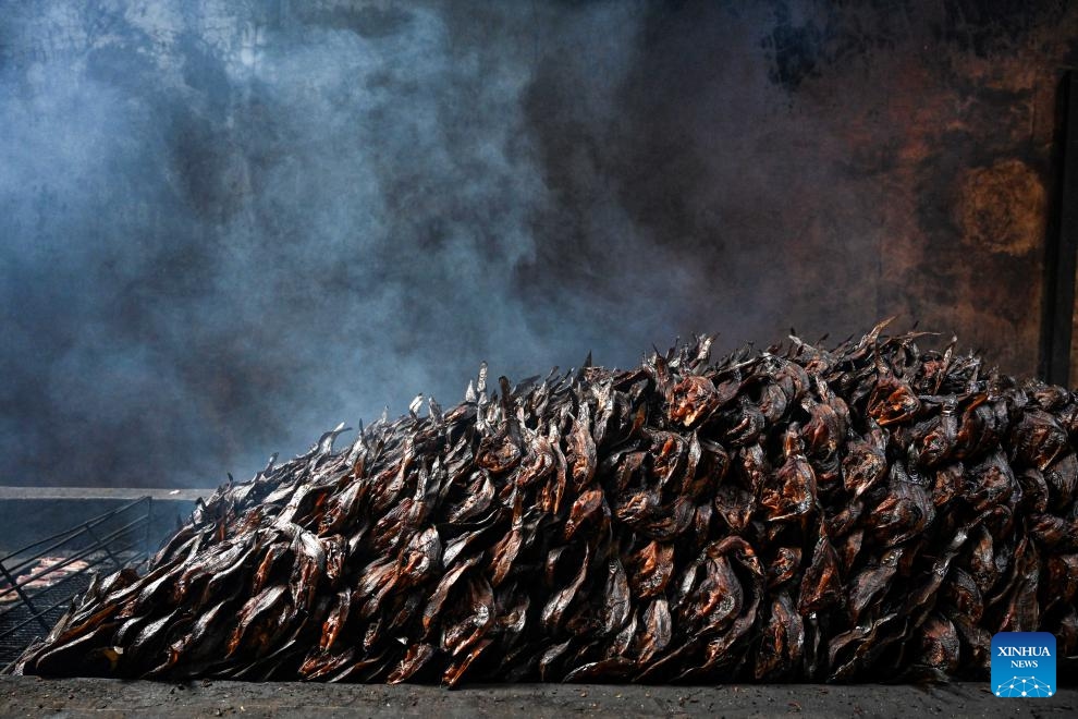 This photo taken on Jan. 10, 2024 shows smoked catfish slices at a traditional workshop in Bogor, West Java, Indonesia. This traditional workshop in Bogor produces up to 500 kilograms of smoked catfish slices daily for domestic consumption as well as export to Malaysia and Nigeria.(Photo: Xinhua)