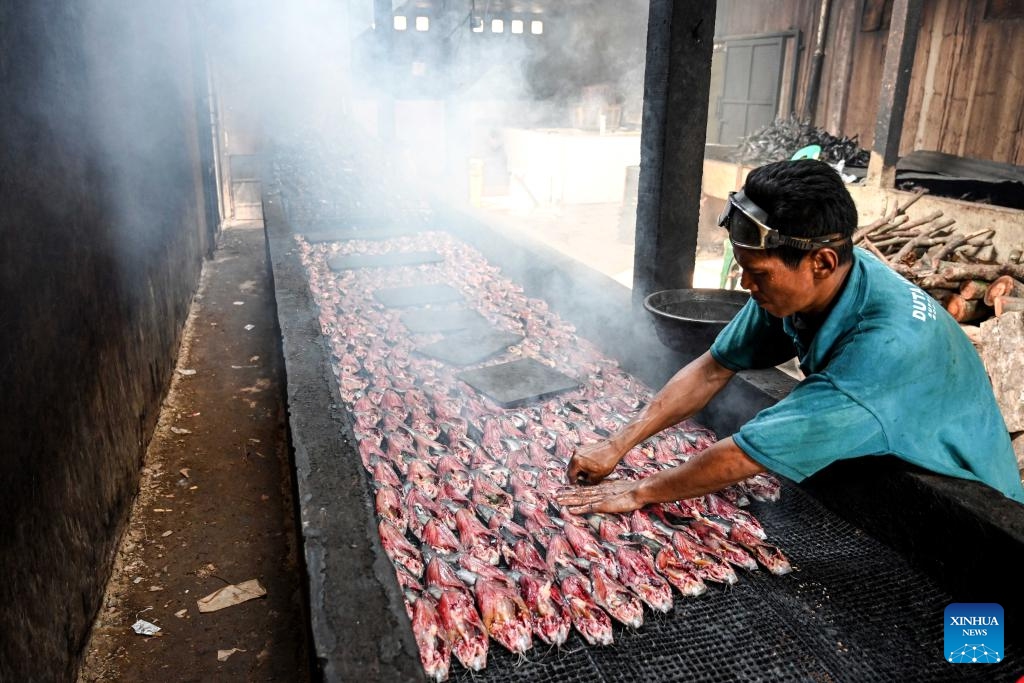 A worker arranges catfish on a grill to make smoked catfish slices at a traditional workshop in Bogor, West Java, Indonesia, on Jan. 10, 2024. This traditional workshop in Bogor produces up to 500 kilograms of smoked catfish slices daily for domestic consumption as well as export to Malaysia and Nigeria.(Photo: Xinhua)