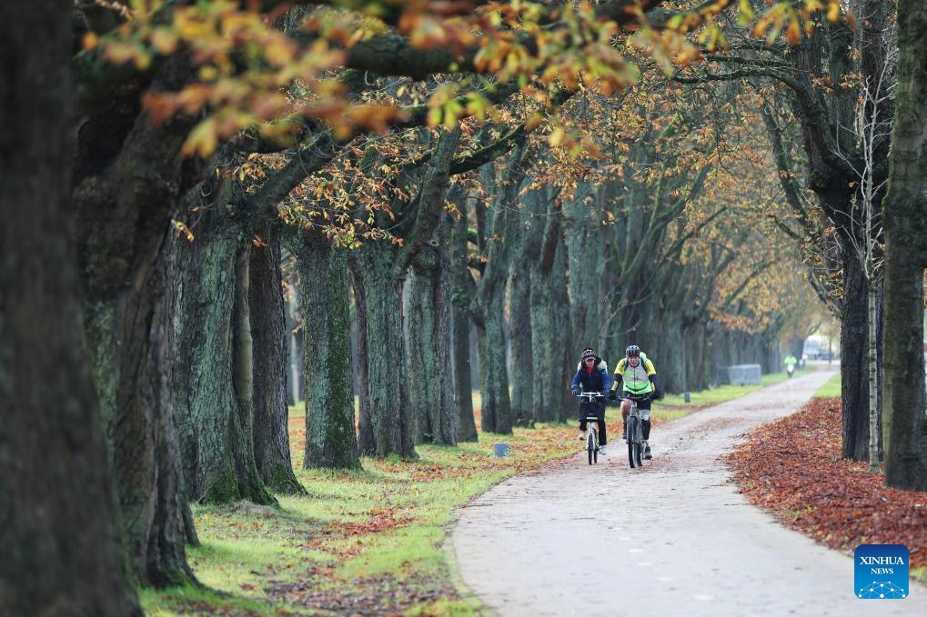 People ride bicycles at a park in Brussels, Belgium, Nov. 7, 2023.(Photo: Xinhua)
