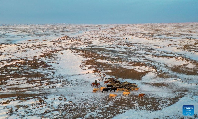 An aerial drone photo shows herdsmen grazing sheep in a pasture in Emin County, northwest China's Xinjiang Uygur Autonomous Region, Jan. 11, 2024.