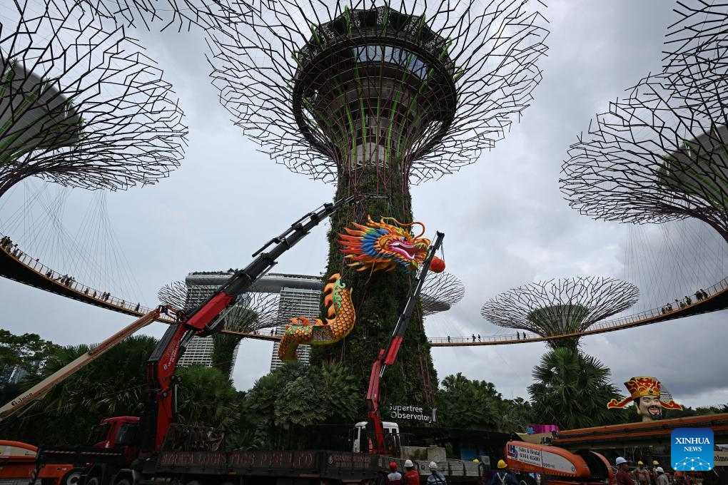 Workers install a dragon-shaped light installation in celebration of the upcoming Chinese Lunar New Year at Singapore's Gardens by the Bay on Jan. 15, 2024.(Photo: Xinhua)