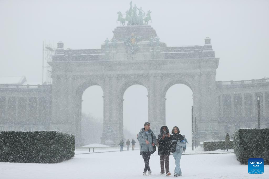 Snowfall hits Brussels, Belgium Global Times