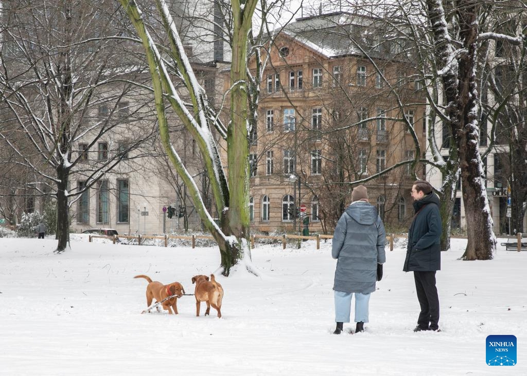 People watch dogs playing on the snow-covered lawn in Frankfurt, Germany, Jan. 18, 2024. Snow fell in Frankfurt on Thursday.(Photo: Xinhua)
