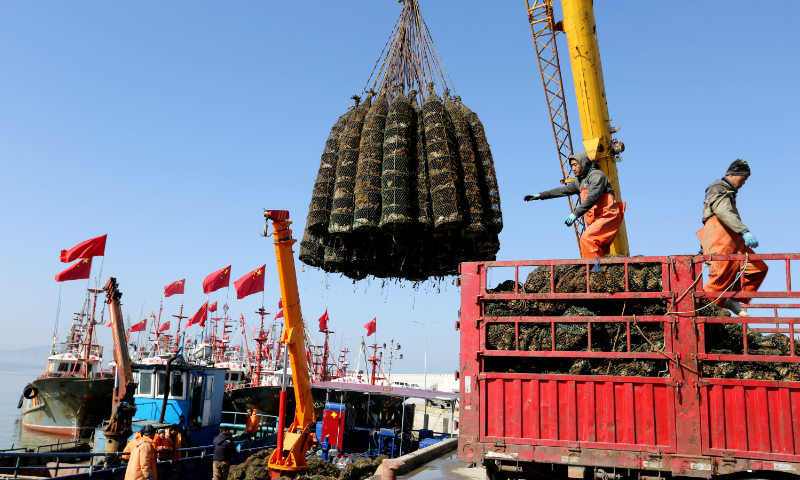 Farmers load cultured oysters onto trucks at the central fishing port of Liandao in Lianyungang, East China's Jiangsu Province, on February 17, 2024. Lianyungang has created more than 170 square kilometers of marine pasture area through the continuous restoration of the marine ecology and conservation of fishery resources. Photo: VCG