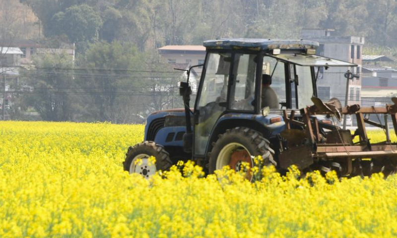 A farmer operates a machine to plough fields in Shimen Village, Siba Township, Luocheng Mulao Autonomous County, south China's Guangxi Zhuang Autonomous Region, Feb. 19, 2024. Farmers across China are busy with agricultural production as the day of Yushui (Rain Water), the second of the 24 solar terms in the Chinese lunar calendar, came on Monday this year. (Photo by Wei Rudai/Xinhua)