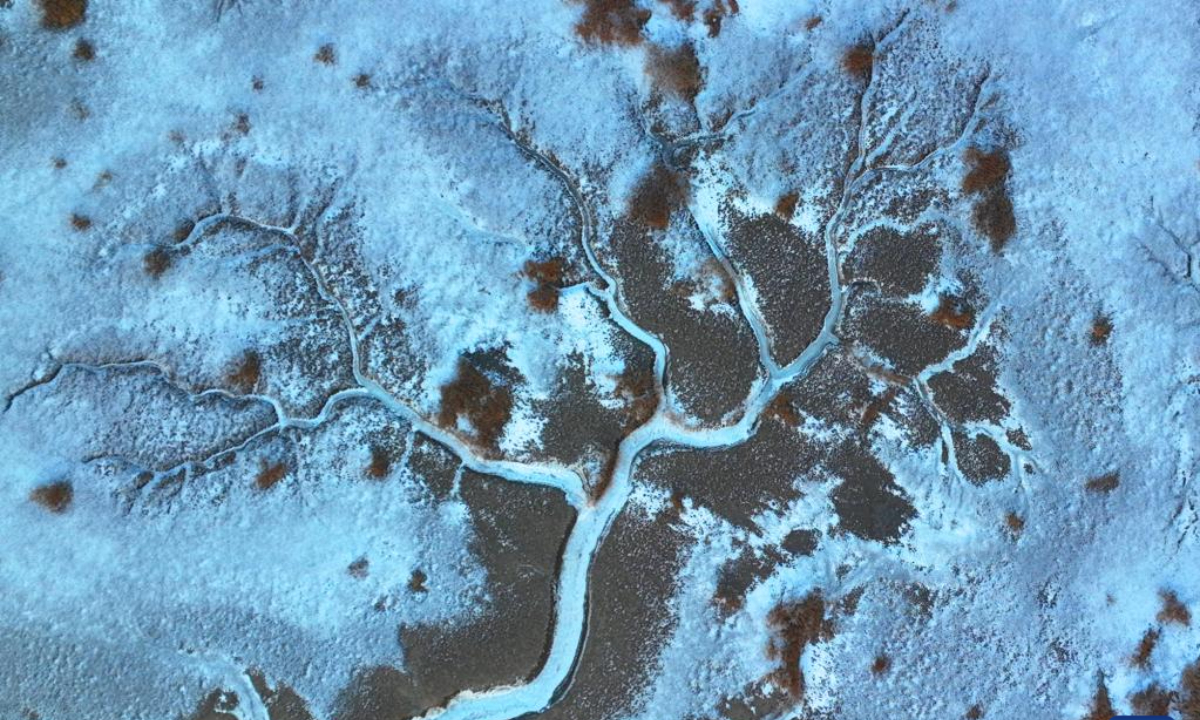 An aerial drone photo taken on Jan 31, 2024 shows a view of frozen tidal creeks in the wetland of Liaohe River estuary in Panjin, northeast China's Liaoning Province. Photo:Xinhua