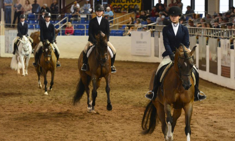 Riders compete in an equestrian competition during the Scottsdale Arabian Horse Show in Scottsdale, Arizona, the United States, on Feb. 15, 2024. The Scottsdale Arabian Horse Show is held here from Feb. 15 to Feb. 25, featuring competitions among Arabian horses, a shopping expo and more. (Photo by Sui Xuguang/Xinhua)
