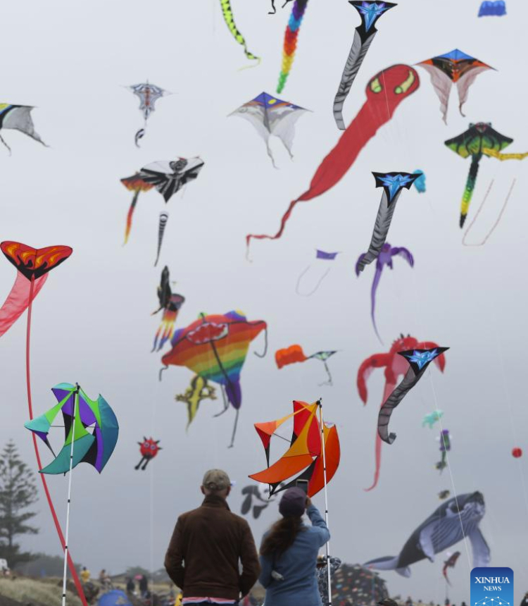 People fly kites during the 2024 Otaki Kite Festival held on the beach of Otaki, Wellington, New Zealand, Feb. 17, 2024. Hundreds of colourful kites were flying in the sky of Wellington's Otaki Beach during the kite festival held from Feb. 17 to 18. (Photo by Meng Tao/Xinhua)