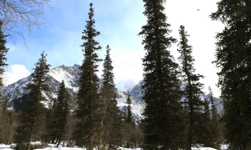 This photo taken on Feb. 23, 2024 shows a winter scenery at Ala-Archa National Park, some 30 kilometers away from Bishkek, capital of Kyrgyzstan. (Photo by Roman/Xinhua)