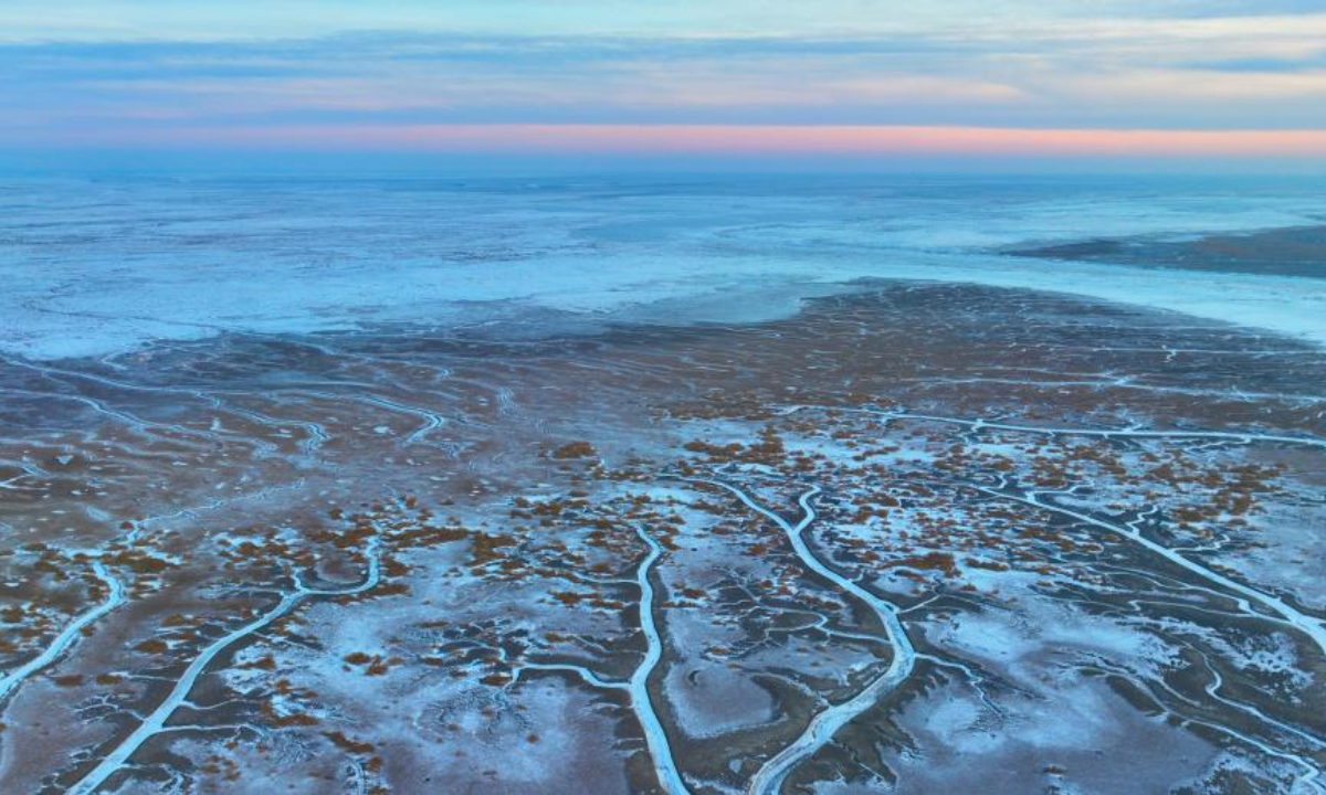 An aerial drone photo taken on Jan 31, 2024 shows a view of frozen tidal creeks in the wetland of Liaohe River estuary in Panjin, northeast China's Liaoning Province. Photo:Xinhua