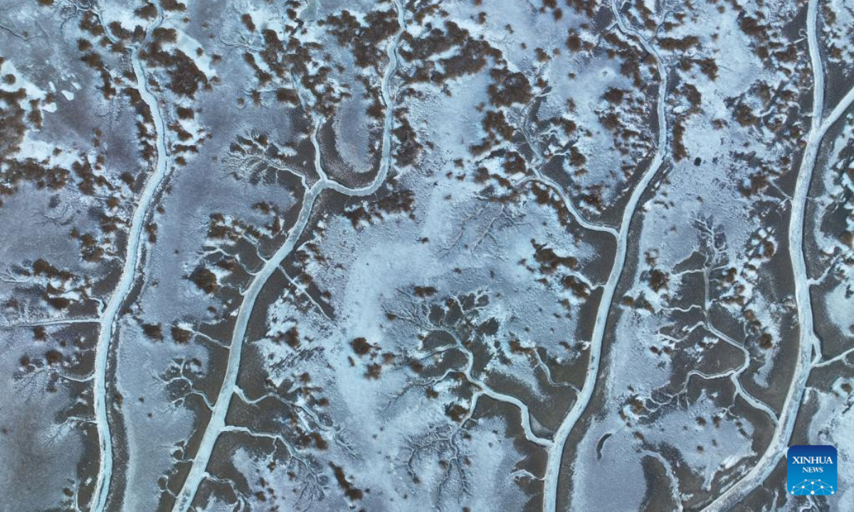 An aerial drone photo taken on Jan 31, 2024 shows a view of frozen tidal creeks in the wetland of Liaohe River estuary in Panjin, northeast China's Liaoning Province. Photo:Xinhua