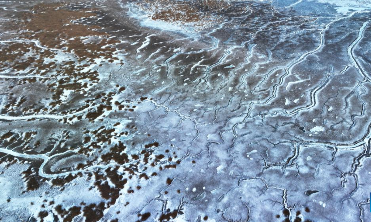 An aerial drone photo taken on Jan 31, 2024 shows a view of frozen tidal creeks in the wetland of Liaohe River estuary in Panjin, northeast China's Liaoning Province. Photo:Xinhua