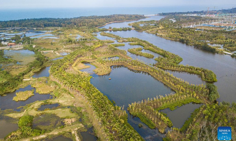 An aerial drone photo taken on Feb. 1, 2024 shows the scenery at the Daomeng river wetland in Haikou, south China's Hainan Province.