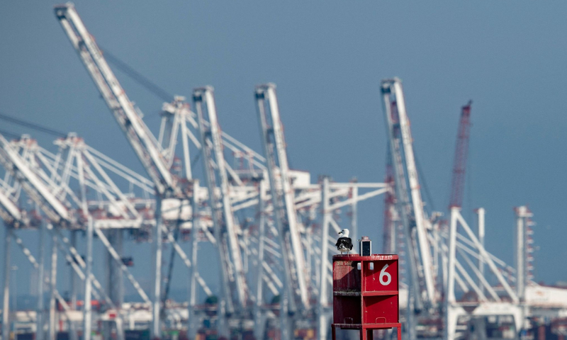 A seagull sits on a buoy near cranes at the Port of Baltimore October 14, 2021, in Baltimore, Maryland, the US. Photo: VCG