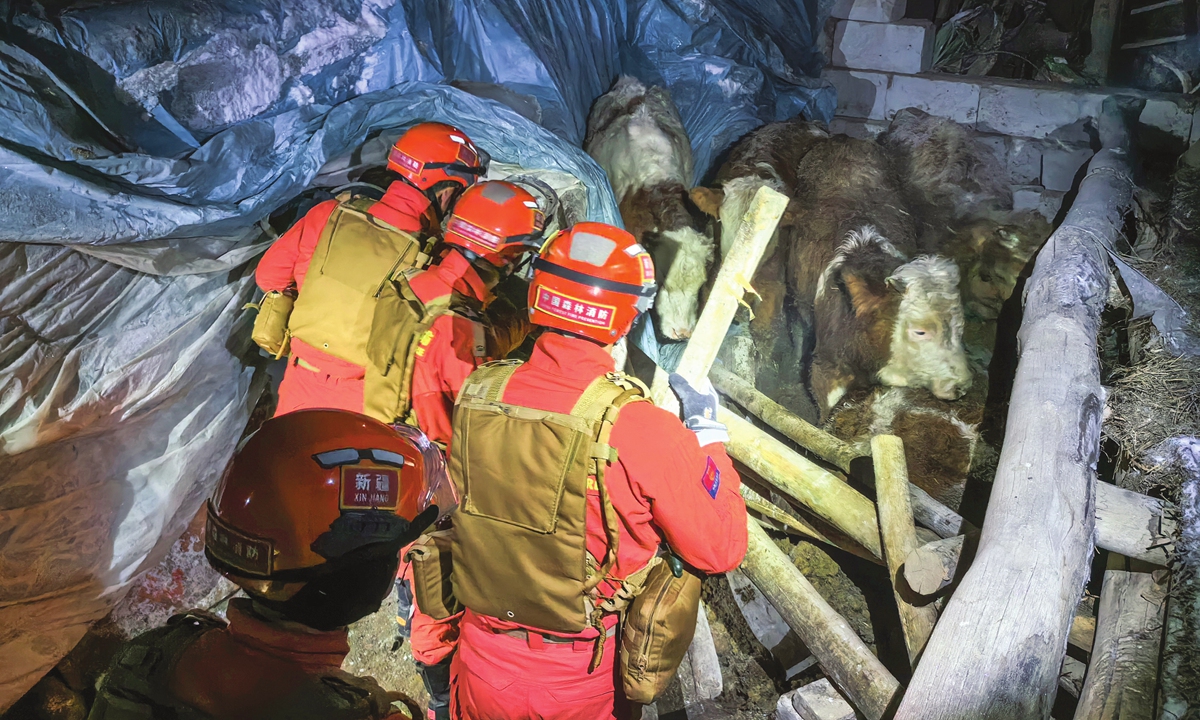 Rescuers check for damage in a village in Aksu Prefecture in Northwest China's Xinjiang Uygur Autonomous Region on January 23, 2024. A 7.1-magnitude earthquake jolted Wushi county in Aksu Prefecture in Xinjiang on the same day. Photo: CNS