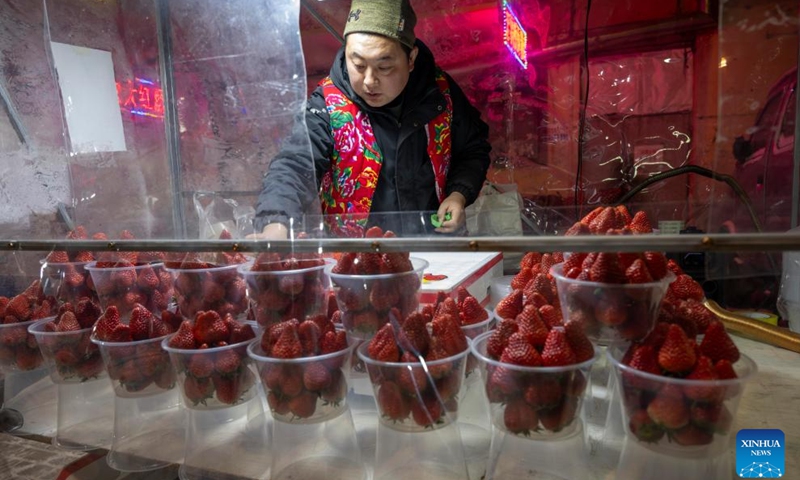 A vendor sells strawberries at the Hongzhuan Morning Market in Harbin, northeast China's Heilongjiang Province, Jan. 22, 2024. Harbin's morning markets, known for their diverse offerings at reasonable prices, have been a hot spot for tourists.The morning market on Hongzhuan Street has been one of the first local morning markets to gain fame recently. Food stalls serving steaming local breakfast dishes are bustling with tourists eager to taste local delicacies.(Photo: Xinhua)