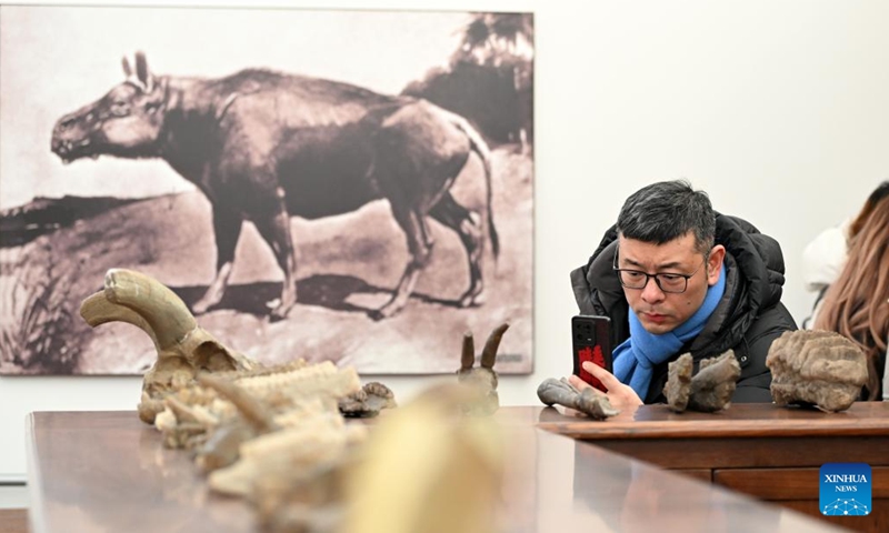 A tourist takes photos of an exhibit at the Beijiang Museum in north China's Tianjin Municipality, Jan. 27, 2024.The century-old Beijiang Museum was founded by French Catholic Jesuit priest and naturalist Paul Emile Licent in 1914 when it was among the finest museums in the world and the accolades continued into the 1920s and 1930s. The museum has collected more than 200,000 specimens of animals, plants, ancient humans, rocks and minerals. (Xinhua/Li Ran)