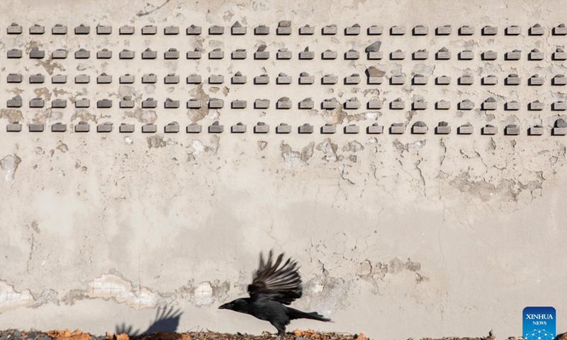This photo taken on Jan. 27, 2024 shows a wall containing name blocks at an Old Jewish Cemetery on Battonnstrasse in Frankfurt, Germany. (Xinhua/Zhang Fan)