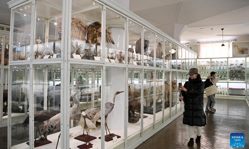 Tourists view exhibits at the Beijiang Museum in north China's Tianjin Municipality, Jan. 27, 2024.The century-old Beijiang Museum was founded by French Catholic Jesuit priest and naturalist Paul Emile Licent in 1914 when it was among the finest museums in the world and the accolades continued into the 1920s and 1930s. The museum has collected more than 200,000 specimens of animals, plants, ancient humans, rocks and minerals. (Xinhua/Li Ran)