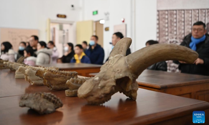This photo taken on Jan. 27, 2024 shows exhibits at the Beijiang Museum in north China's Tianjin Municipality.The century-old Beijiang Museum was founded by French Catholic Jesuit priest and naturalist Paul Emile Licent in 1914 when it was among the finest museums in the world and the accolades continued into the 1920s and 1930s. The museum has collected more than 200,000 specimens of animals, plants, ancient humans, rocks and minerals. (Xinhua/Li Ran)