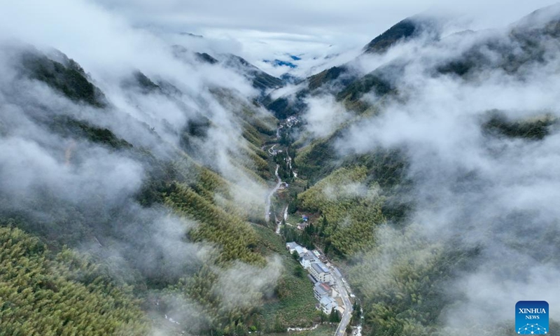 An aerial drone photo taken on Jan. 30, 2024 shows the scenery at the Wuyishan National Park, southeast China's Fujian Province.(Photo: Xinhua)