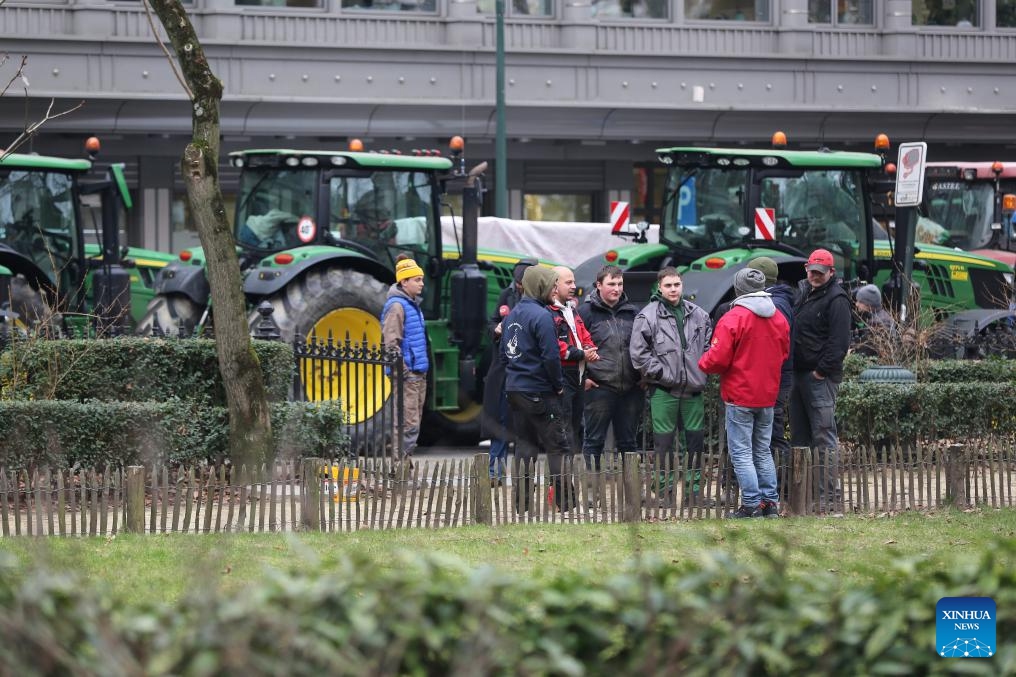 Belgian farmers participate in protests in Brussels Global Times