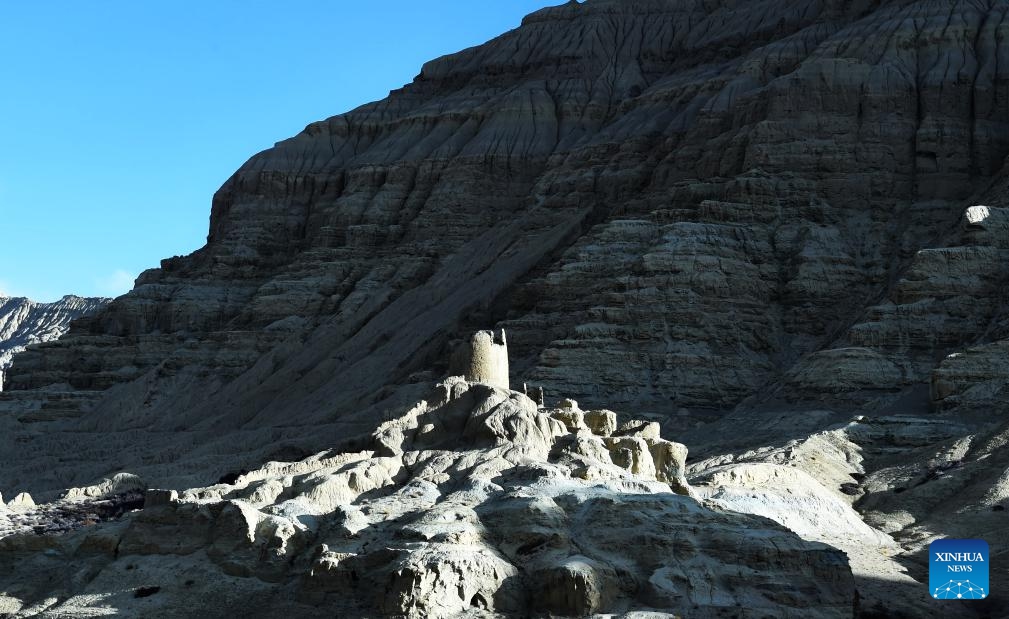 This photo taken on Jan. 30, 2024 shows the scenery of the ruins of the Guge Kingdom in Zanda County of Ngari Prefecture, southwest China's Xizang Autonomous Region. Zanda is famous for the unique landscape of earth forest. With gullies, ravines and steep mountainsides, the unique landscape was shaped as a result of gradual geological movements of the Himalayan region ever since the Quaternary Period from 2.5 million years ago and the impact of perennial water erosion and airslaking.(Photo: Xinhua)