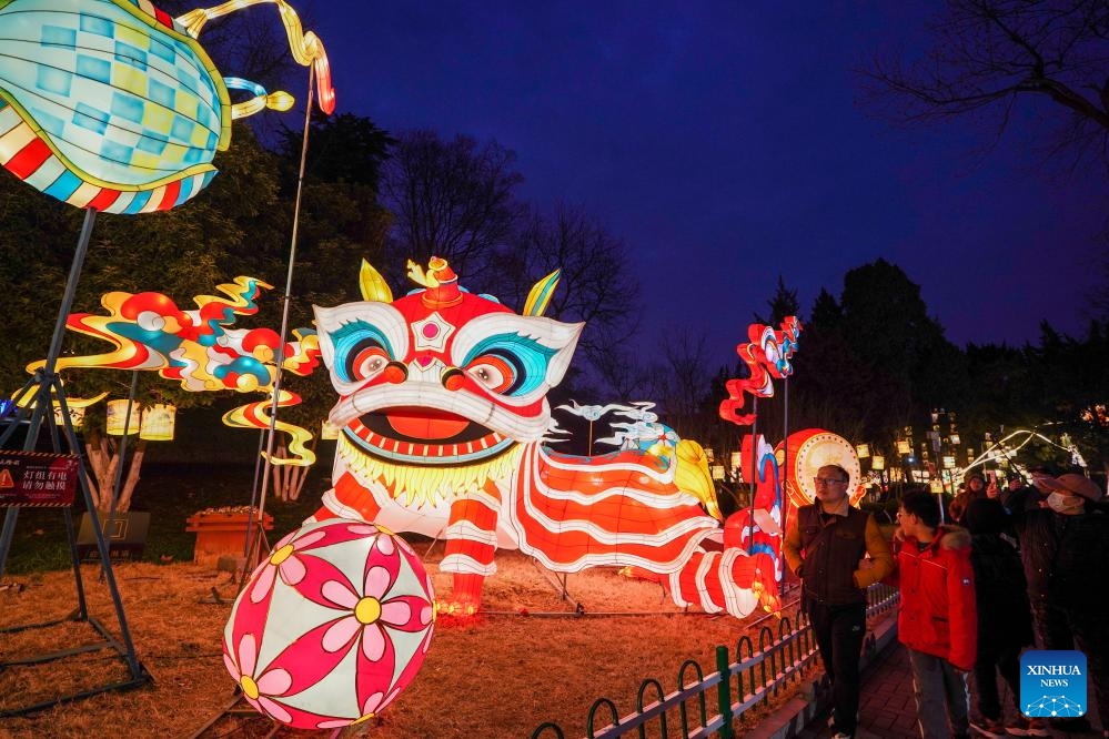 This photo taken on Jan. 29, 2024 shows festive lanterns at Bailuzhou park in Nanjing, east China's Jiangsu Province. About 330 sets of festive lanterns will decorate seven urban areas of Nanjing during the upcoming Chinese New Year.(Photo: Xinhua)
