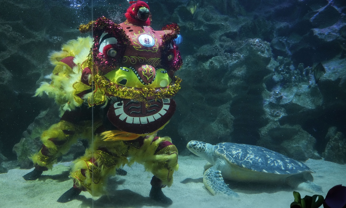 Divers perform an underwater lion dance at the KLCC Aquaria ahead of the Chinese Lunar New Year celebrations in Kuala Lumpur, Malaysia on February 4, 2024. The Chinese Lunar New Year falls on February 10 this year, marking the start of the Year of the Dragon, according to the Chinese zodiac. Photo: VCG