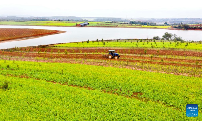 A villager ploughs the field in Yicheng Town of Zhangshu City, east China's Jiangxi Province, Feb. 4, 2024. Sunday marks Lichun, meaning the beginning of spring, the first solar term in the traditional Chinese lunar calendar. (Photo by Zhou Liang/Xinhua)