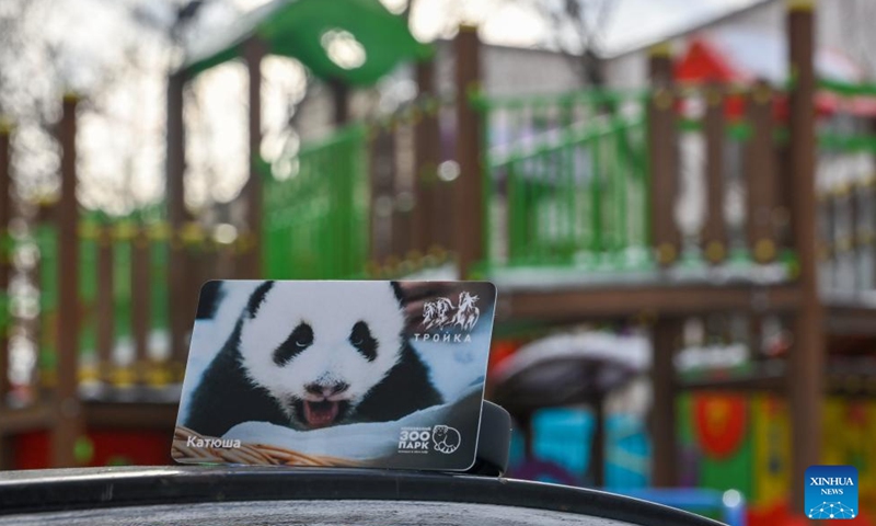 This photo taken on Feb. 3, 2024 shows a travel card themed on Russia's first giant panda cub in Moscow, Russia. Local transportation department recently launched a set of travel cards themed on Russia's first giant panda cub. The giant panda cub named Katyusha was born at Moscow Zoo in August 2023. (Xinhua/Cao Yang)