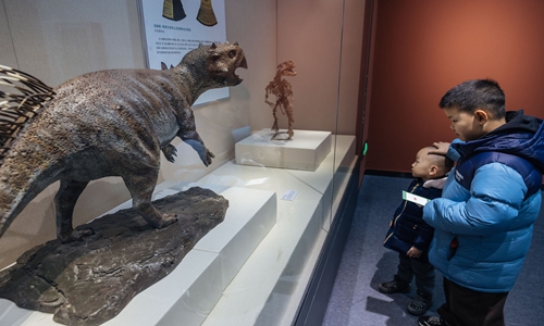 Visitors examine the fossils and animal specimens on display at the exhibition titled Dragon in China - Joint Exhibition of Zodiac Culture in the Year of the Dragon at the National Natural History Museum of China in Beijing on February 6, 2024. Photo:  Li Hao/GT