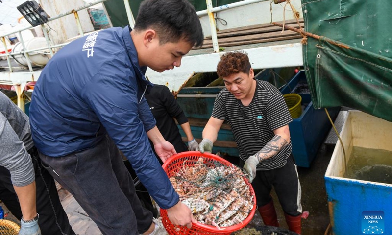 Seafood store workers transport newly-caught crabs in Nan'ao Shuangyong Pier in Shenzhen, south China's Guangdong Province, Feb. 5, 2024. A drone delivery route for seafood has been put into operation between Nan'ao Shuangyong Pier in the east of Shenzhen and the city's Longgang District. The drones take off with up to 20 kilograms load and the seafood will be delivered to local couriers and finally reach the customers.(Photo: Xinhua)