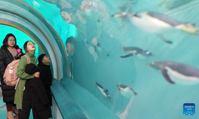 Tourists watch penguins swimming at the Harbin Polarpark in Harbin, northeast China's Heilongjiang Province, Feb. 13, 2024. In addition to following traditional customs, more and more Chinese People choose to enrich their life by spending the Spring Festival holiday in diversified and original ways. (Photo: Xinhua)