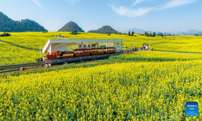 An aerial drone photo taken on Feb. 19, 2024 shows the cole flower fields in Luoping County, southwest China's Yunnan Province. (Xinhua/Hu Chao)