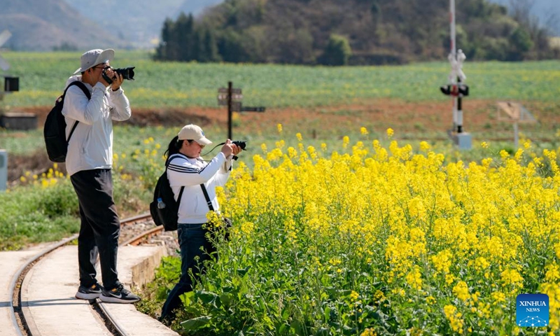People take photos of the cole flower fields in Luoping County, southwest China's Yunnan Province, Feb. 19, 2024. (Xinhua/Hu Chao)