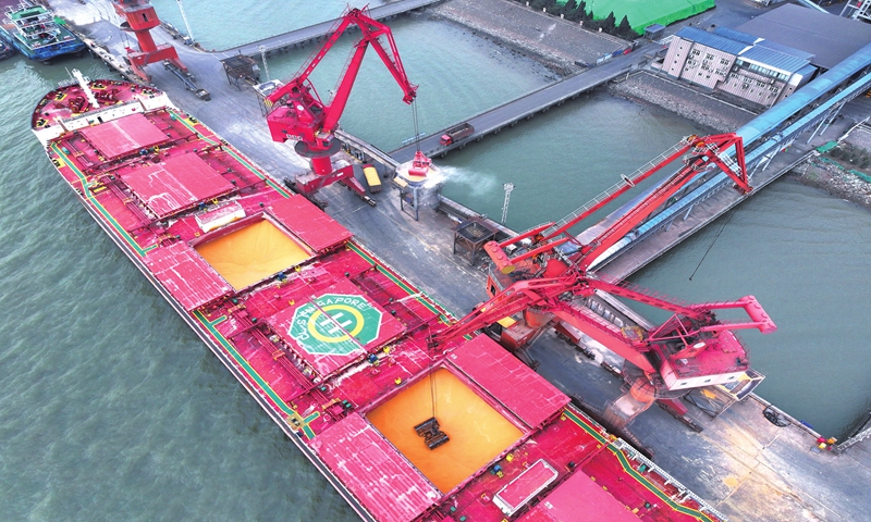 Imported Brazilian corn is unloaded at a port in Nantong, East China's Jiangsu Province on January 22, 2024. Photo: VCG