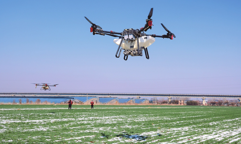 Agricultural technicians operate drones to fertilize wheat in a field in Zaozhuang, East China's Shandong Province on February 25, 2024. Local farmers want to take advantage of the moisture after the snow to actively
spread fertilizers and lay the foundation for a good summer harvest. Photo: VCG