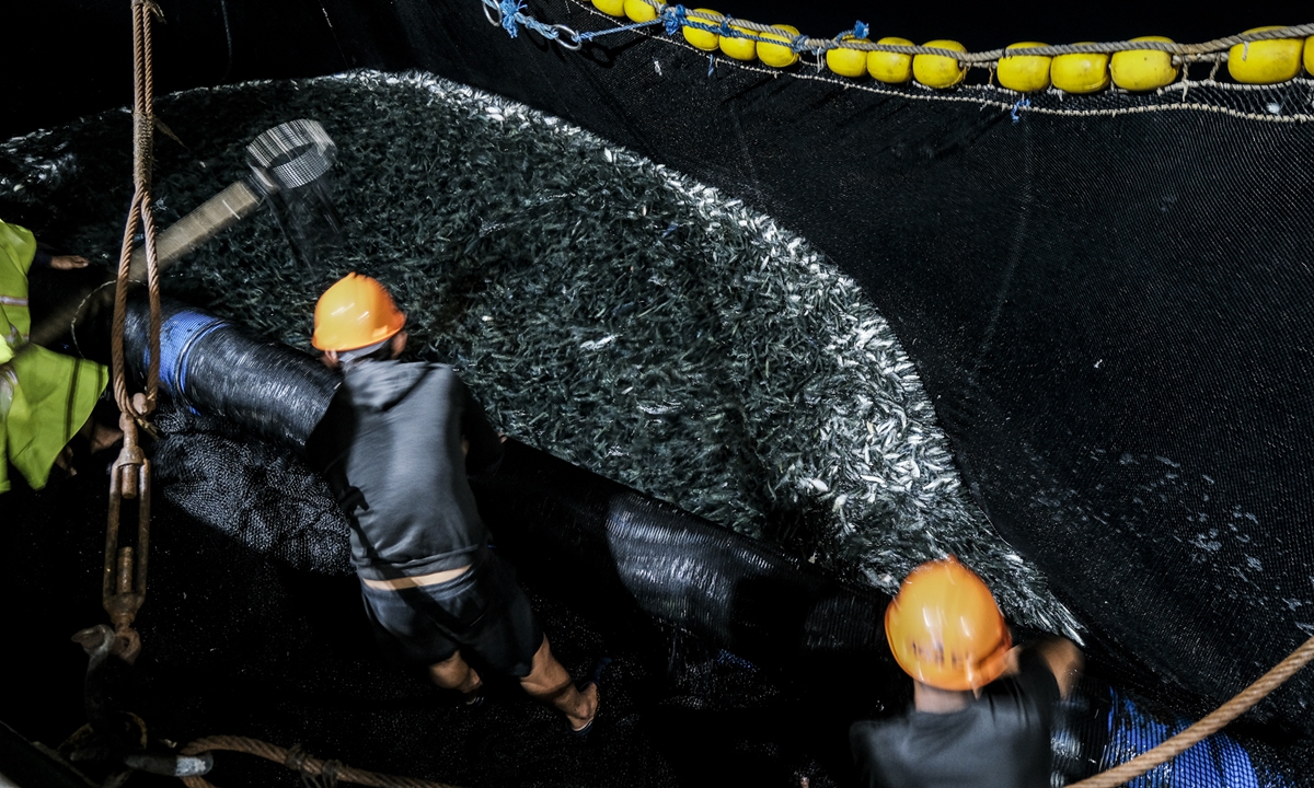 Filipino fishermen pull a net full of fish out of the water in the fishing grounds in the Sulu Sea, a body of water in the southwestern area of the Philippines, on April 27, 2023. Photo: VCG