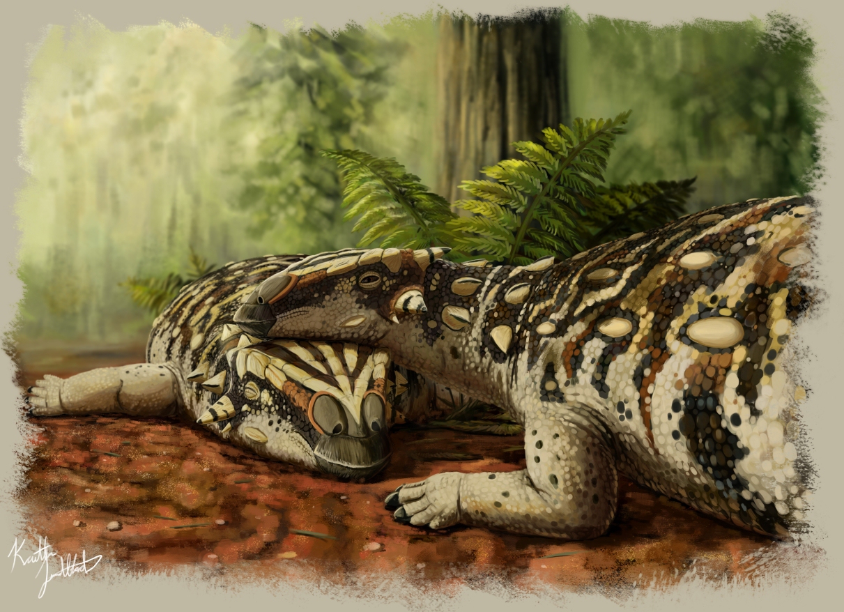 Photo: Courtesy of Xing Lida 