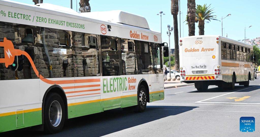 A BYD electric bus (front) runs on a road in Cape Town, South Africa, Feb. 28, 2024. China-made electric buses have been incorporated into the day-to-day operations of Golden Arrow Bus Services here.(Photo: Xinhua)