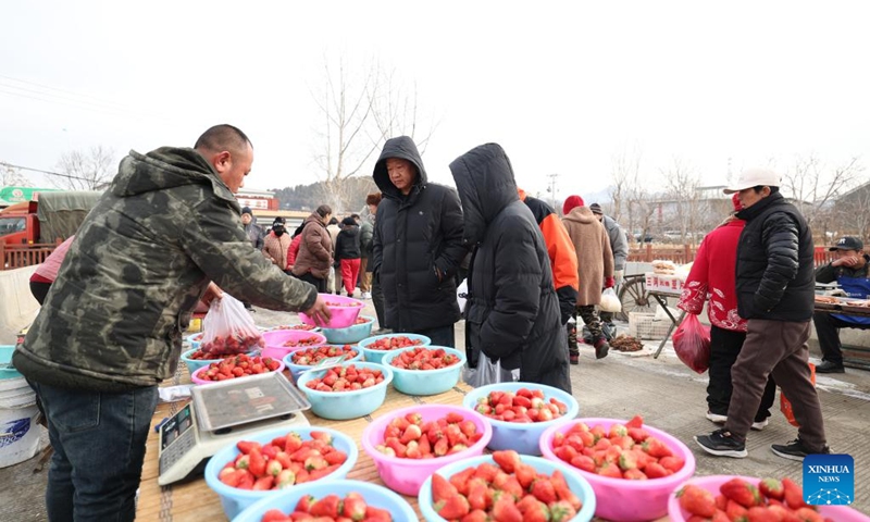 A farmer from Pinggu District of Beijing sells strawberries at a market in Xiaying Township, north China's Tianjin, Feb. 23, 2024. Before this year's Spring Festival, three villages including Qian'ganjian Village of Tianjin, Qian'ganjian Village of Hebei Province and Hongshimen Village of Beijing, all located at a border area between Tianjin, Hebei and Beijing, signed an agreement to jointly develop the tourism in the area and better protect the ancient Great Wall.(Photo: Xinhua)