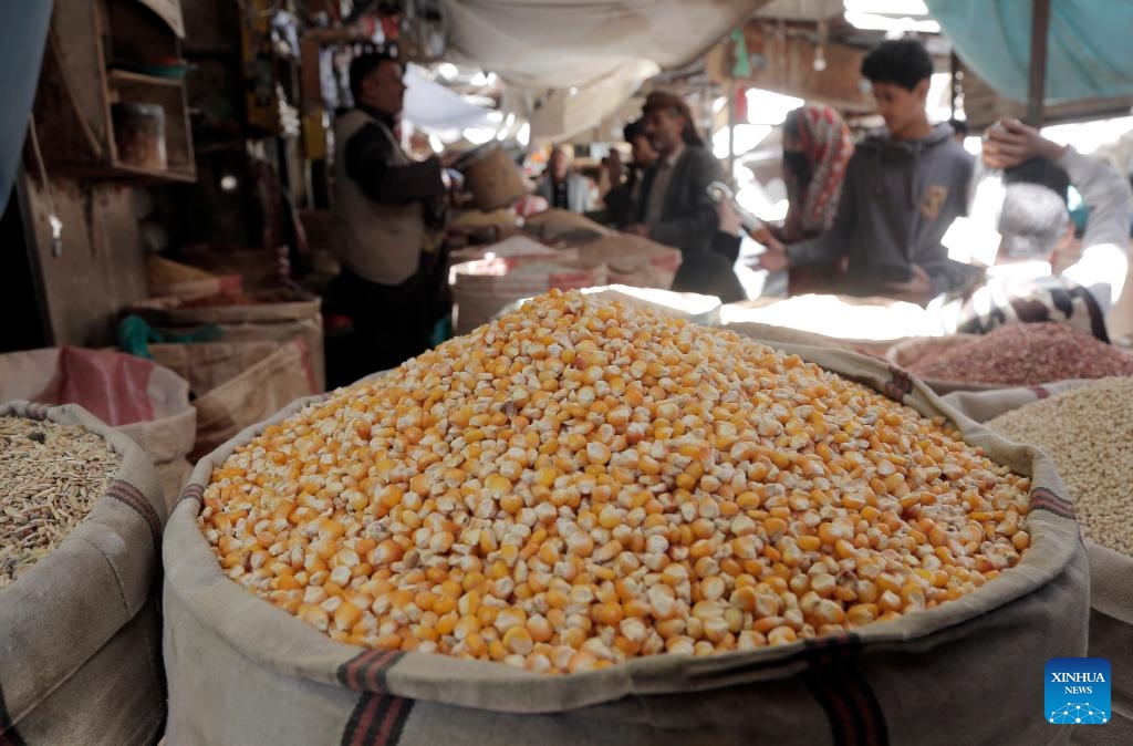 People shop at a food market in Sanaa, Yemen, on Feb. 28, 2024. A food security assessment conducted by the United Nations World Food Programme (WFP) revealed on Thursday that over half of households in Yemen are now unable to access adequate food, a worrying rise driven largely by the suspension of humanitarian assistance in areas controlled by the Houthi group.(Photo: Xinhua)