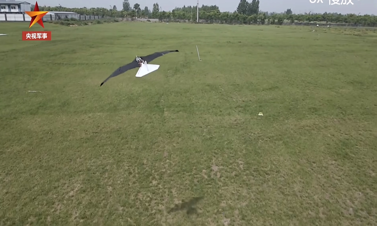 A new type of ornithopter developed by China's Northwestern Polytechnical University makes its debut in early 2024. Photo: Screenshot from China Central Television


